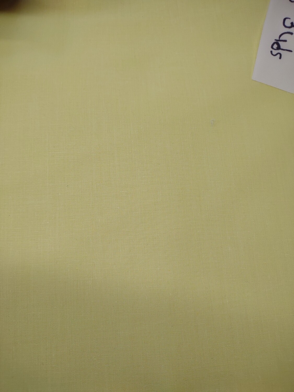 104" Wide Pale Green Quilt Backing, 3 Yards