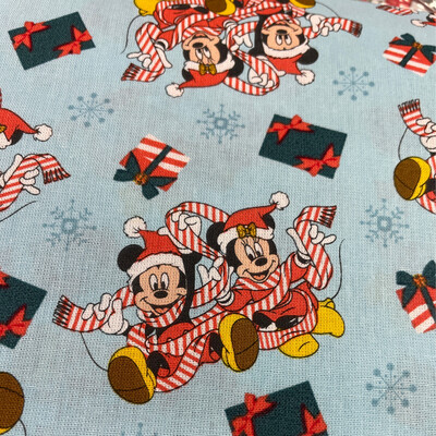 Mickey & Minnie Presents