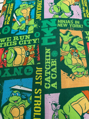 TMNT Run This City By Springs Creative