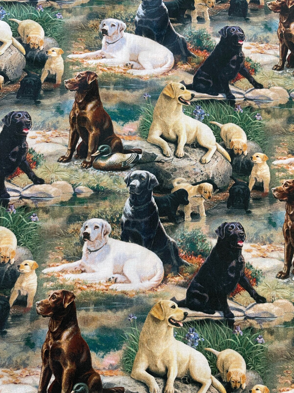 Best In Breed By Mia Lane For Springs Creative