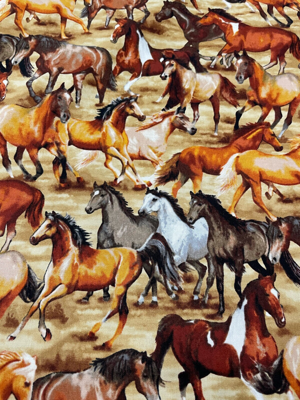 Wild Wild West For Art Lot By Studio E Fabrics