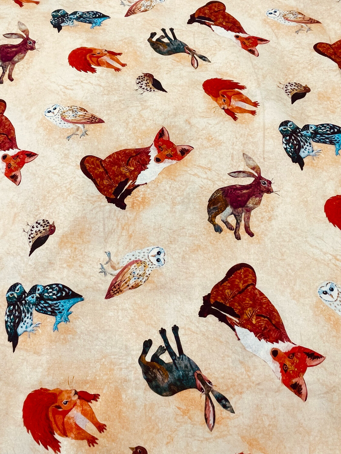 Down In The Woods By Kate Findlay/Wraptious For Blank Quilting