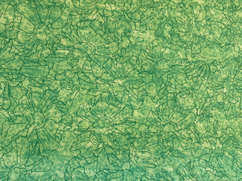 Matilija Poppy By Desiree's Designs For Quilting Treasures