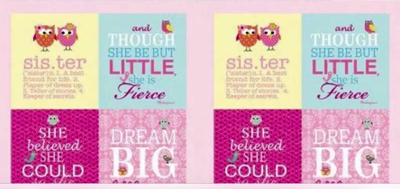 Brother Sister Panel In Pink By Clothworks