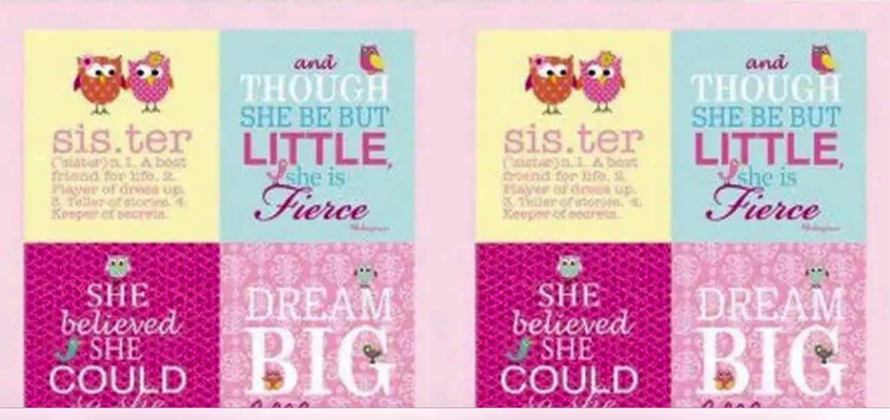 Brother Sister Panel In Pink For Clothworks