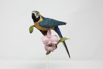 Macaw Ornament