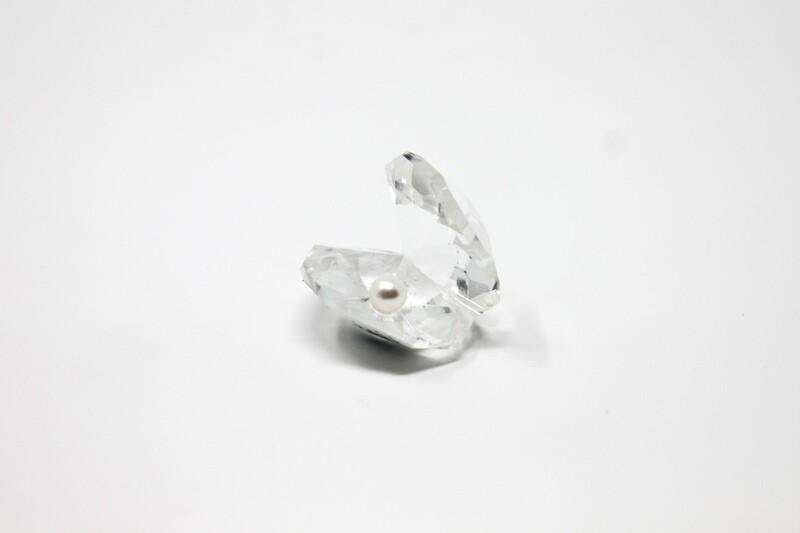 Small Crystal Clam with Pearl