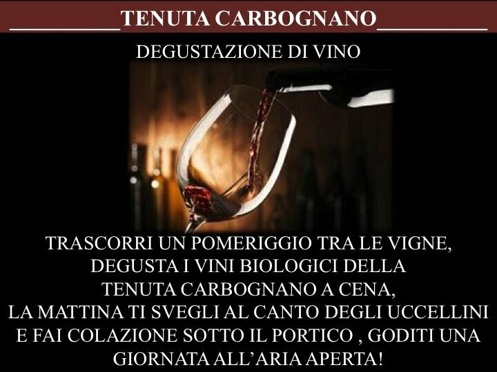 Soggiorno alla Tenuta Carbognano con Degustazione dei nostri vini e cena con cucina Romagnola