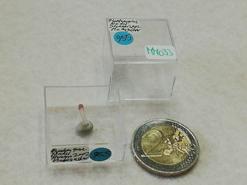 MM033 (955)