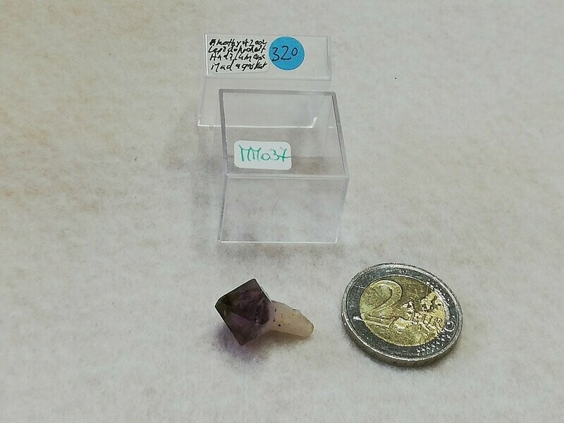 MM037 (320)