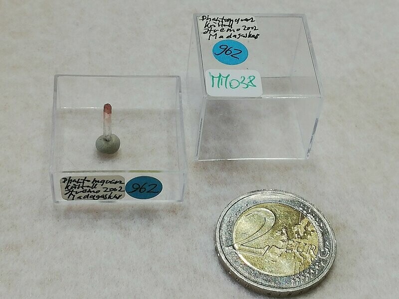 MM038 (962)