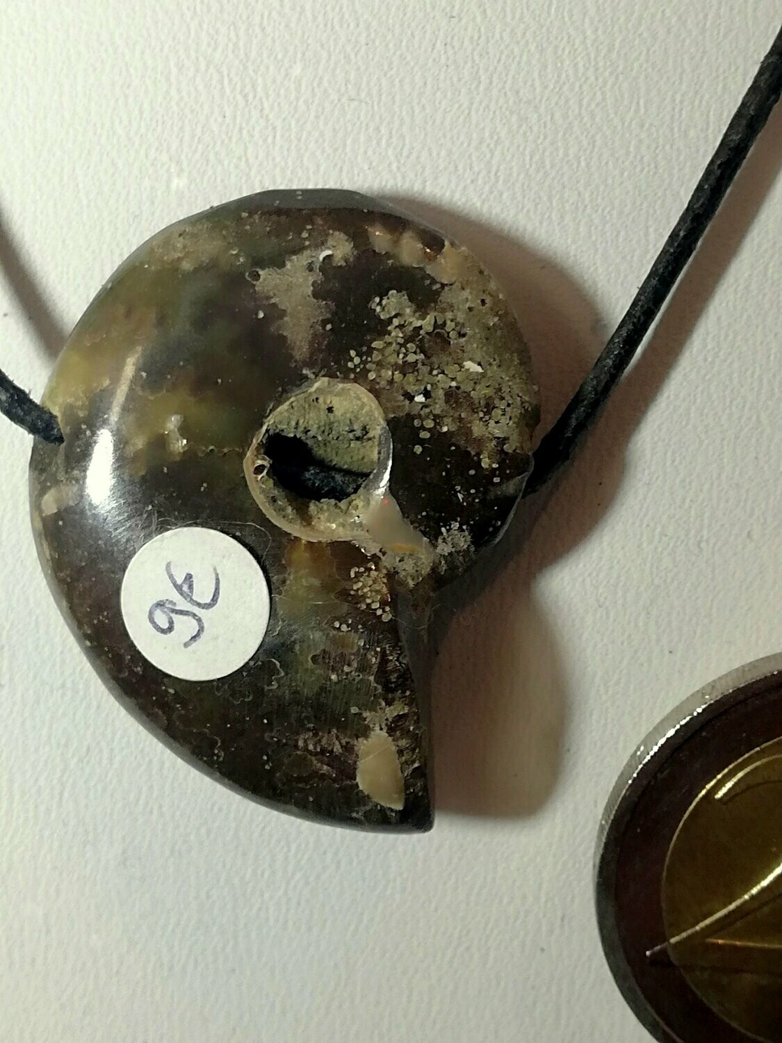 Ammonit gebohrt 01