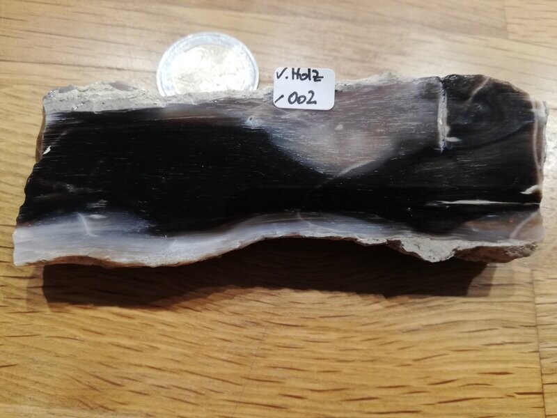 versteinertes Holz 002