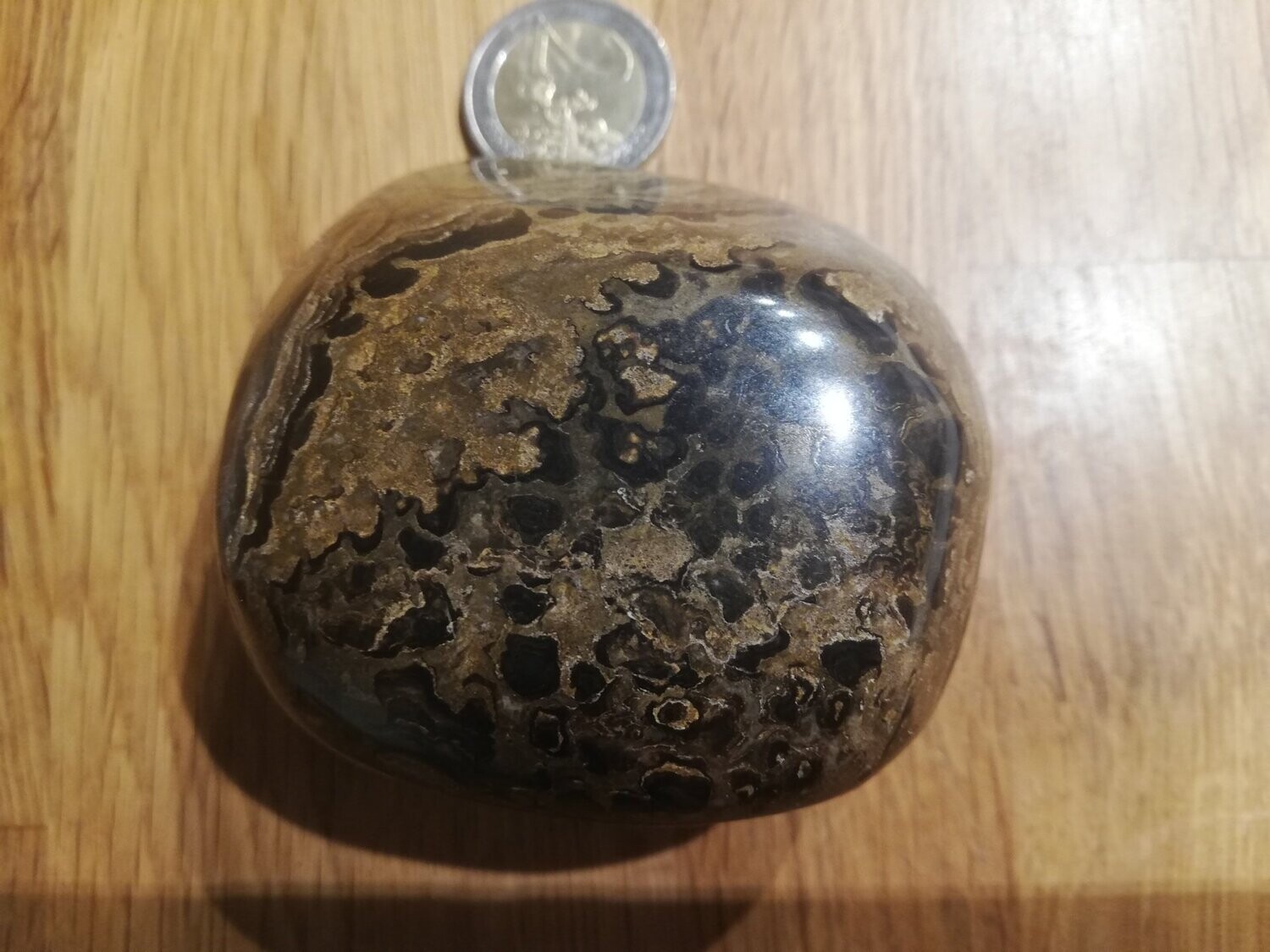 Stromatolith TS 001 Handschmeichler aus braun gemustertem Stromatolith, ca. 7 mal 7 cm groß