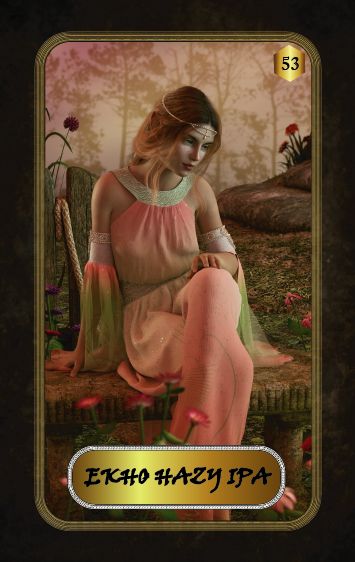 EKKHO HAZY IPA 6.0% 750ml RIGGER