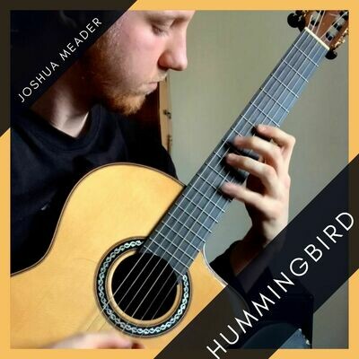 Hummingbird || TAB + Music Notation