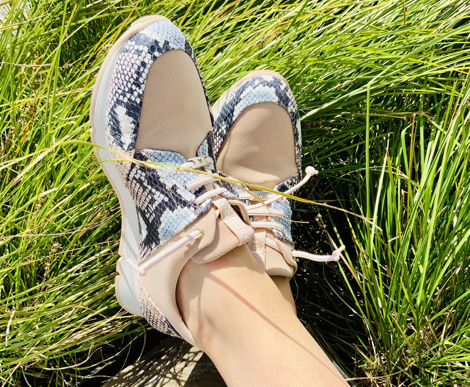 Snake Print Sneaker Snake Print Sneaker