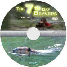 The 7th Day Beaver Documentary DVD