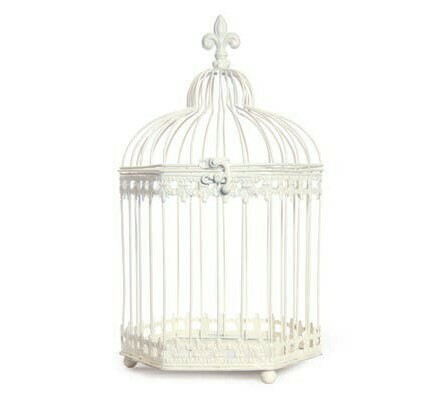Ivory Bird Cage