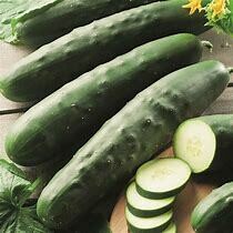 Cucumber Maketmore Organic