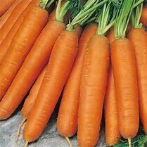 Carrot Nantes Organic