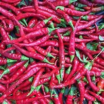 Pepper Long Red Cayenne Organic
