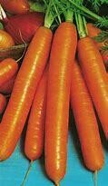Carrot Touchon Organic