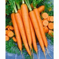 Carrot Imperator Organic