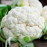 Cauliflower Early Snowball Organic
