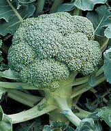 Broccoli De Cicco