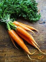 Carrot Danvers