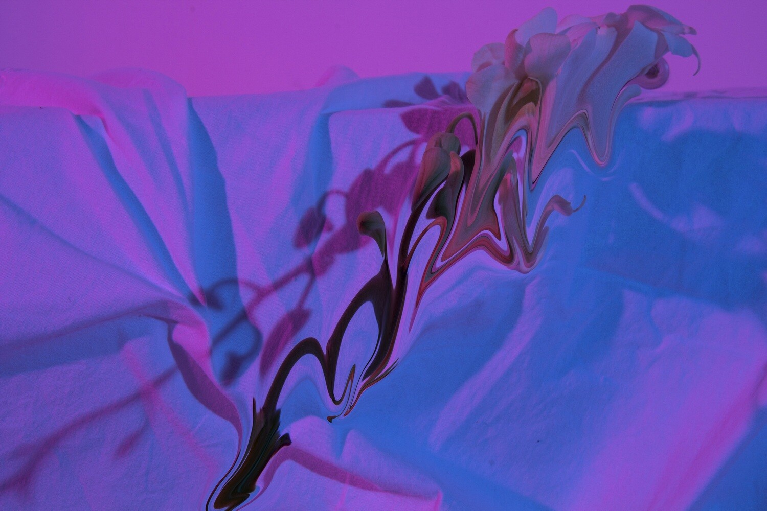 STEM
