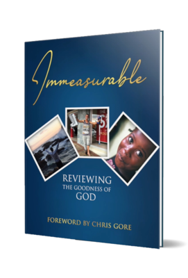 Immeasurable: Reviewing the Goodness of God (Hardcover & Color)