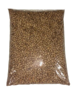 PARAISOTR BEANS PINTO 10LB