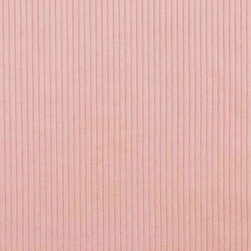 Breitcord rose