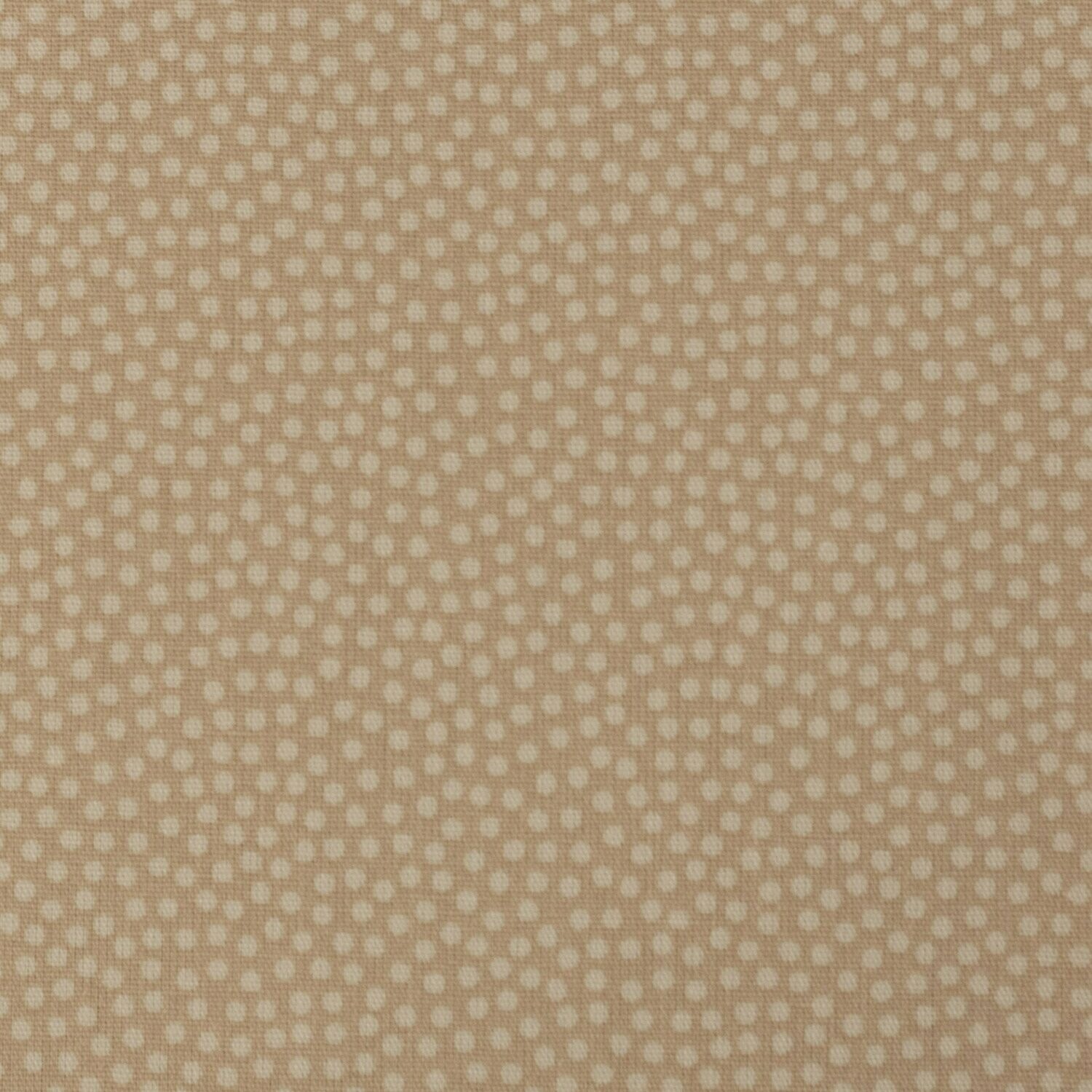 Baumwollstoff Dotty beige