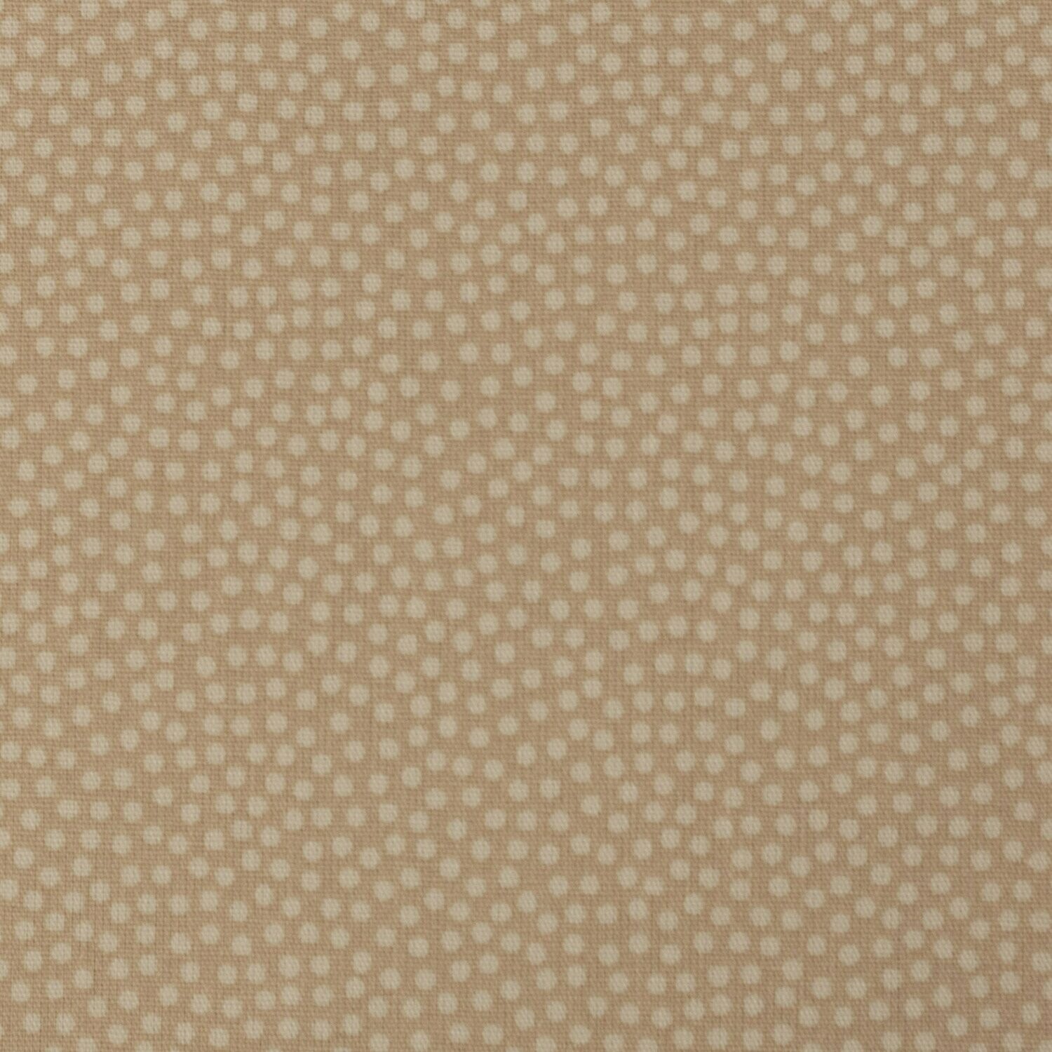 Baumwollstoff Dotty beige