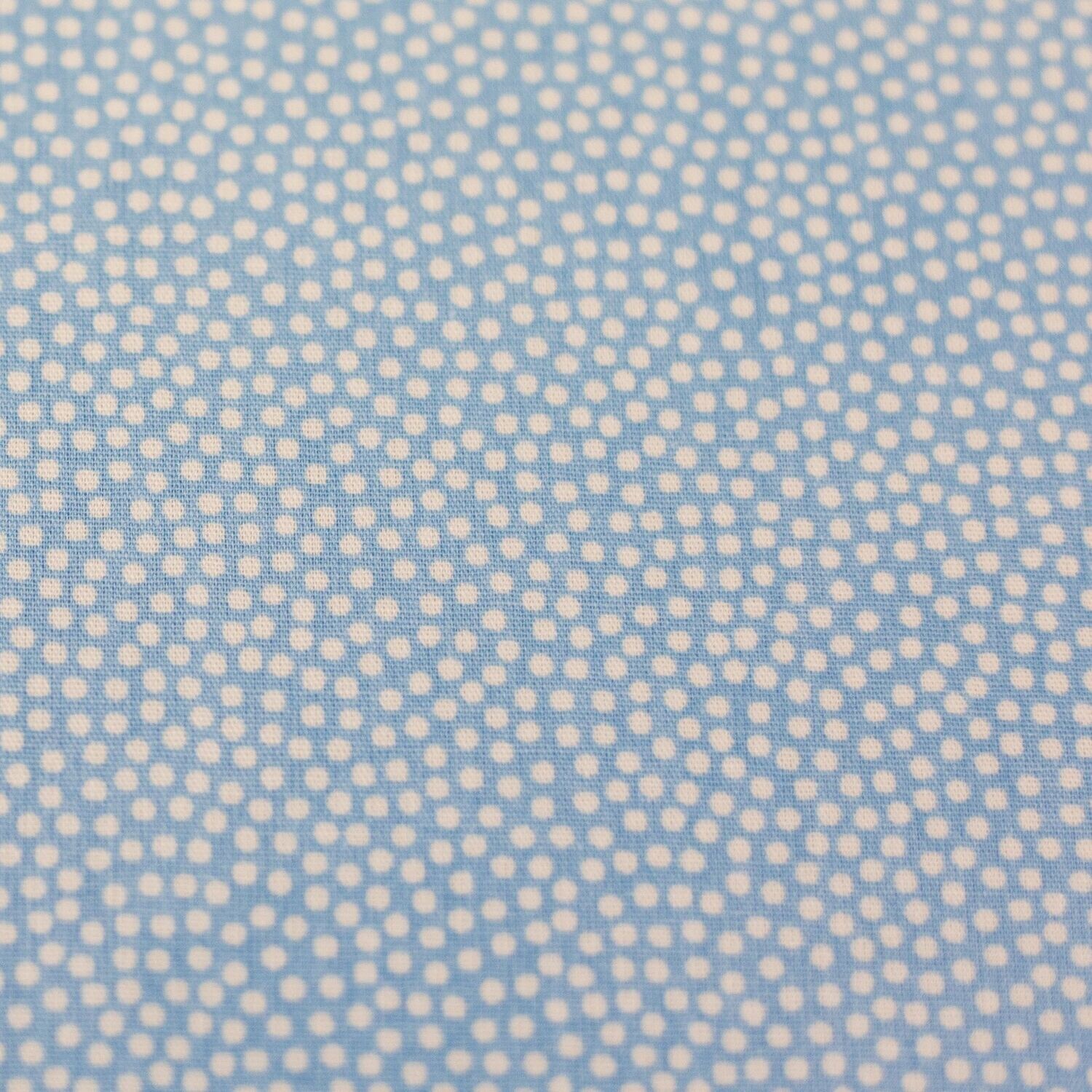 Baumwollstoff Dotty hellblau weiß