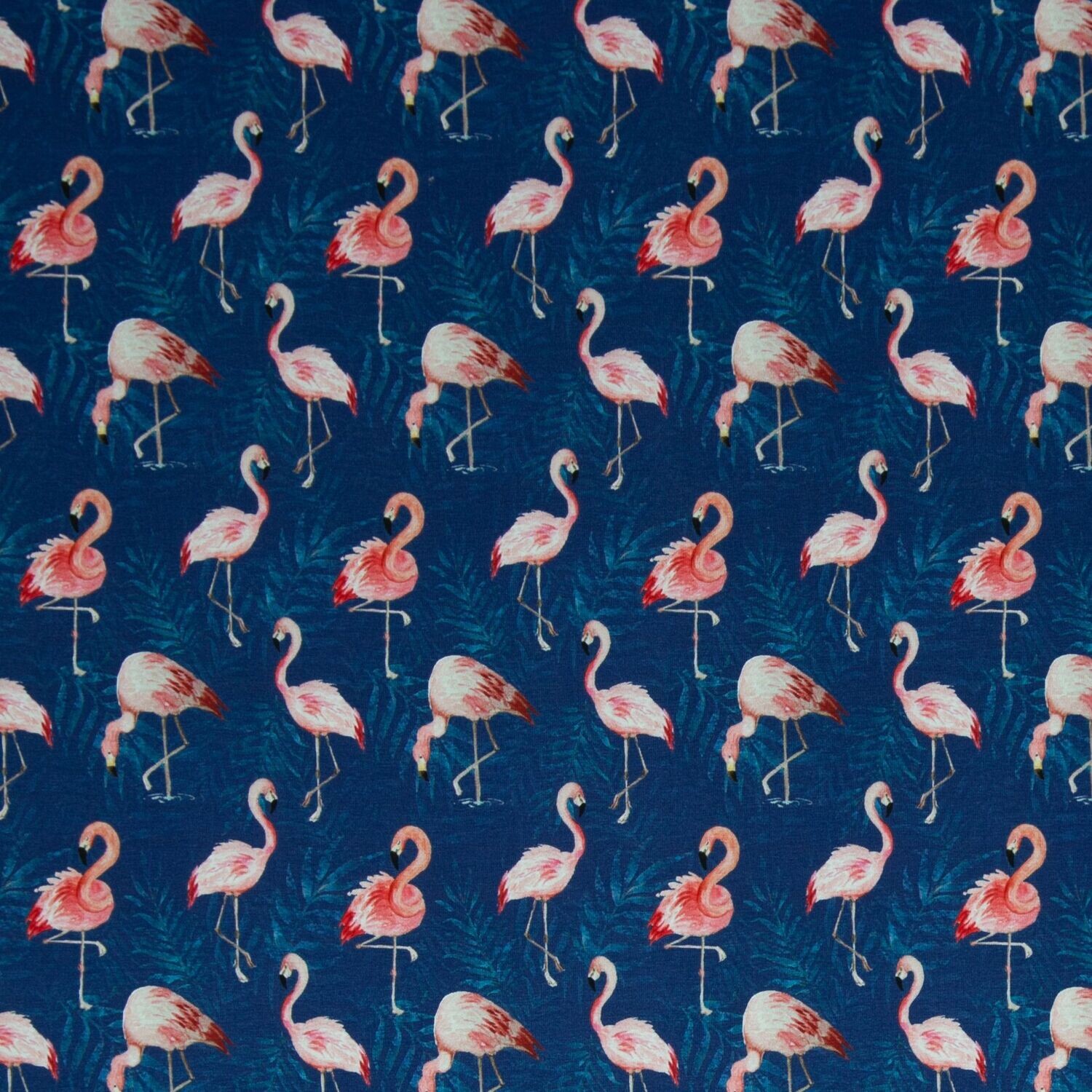 Baumwolljersey Flamingos