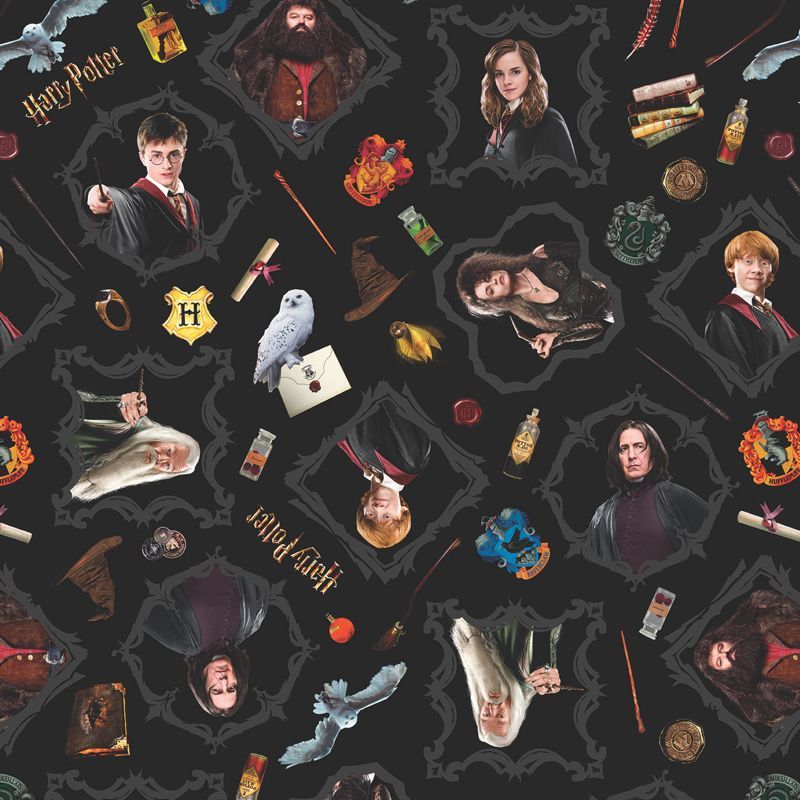 Vororder Patchworkstoff Quilt Back 108 Vororder Patchworkstoff Quilt Back 108" Harry Potter Magic