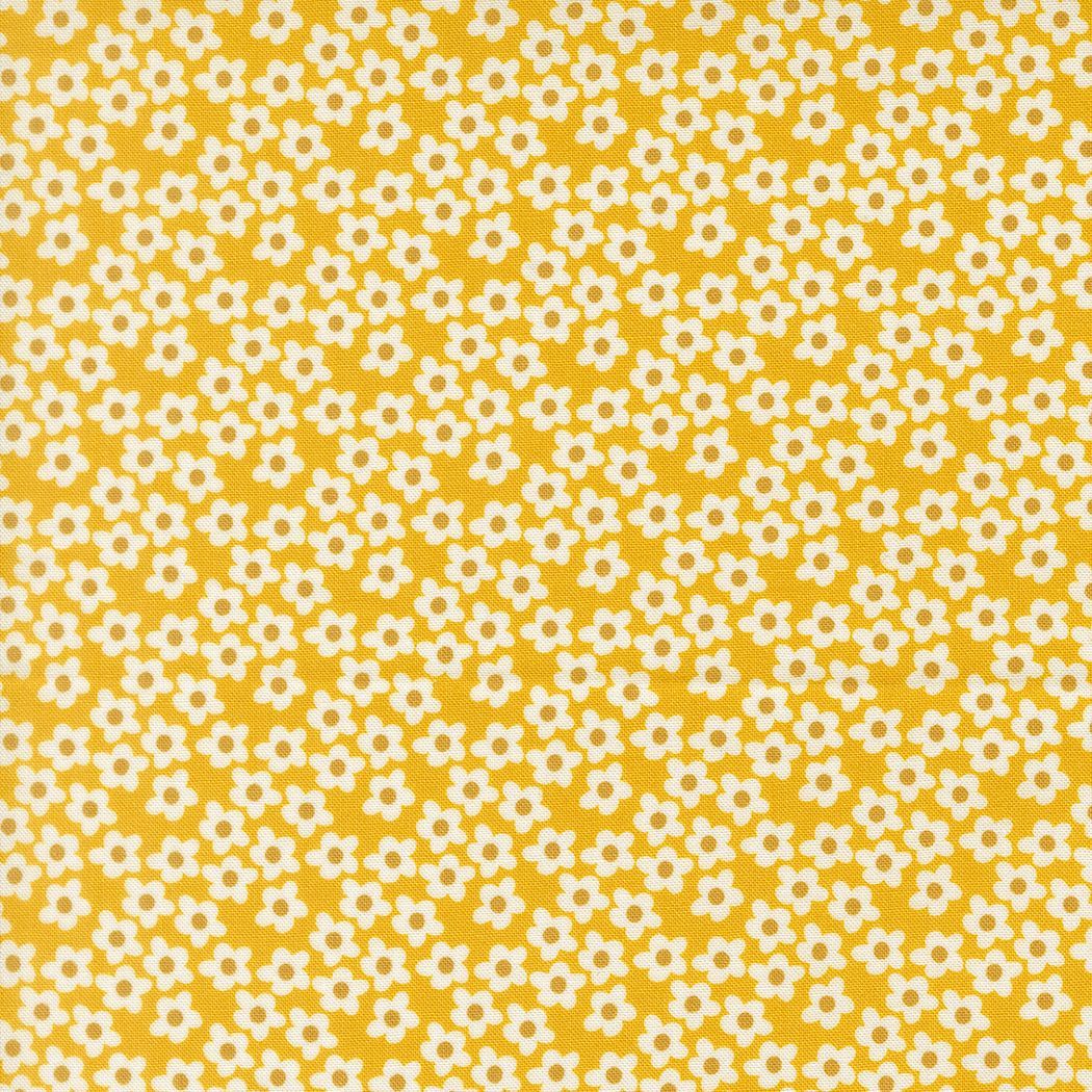 Preorder Elizabeth Hartman Popcorn Flowers Small Floral Orange Preorder Elizabeth Hartman Popcorn Flowers Small Floral Orange