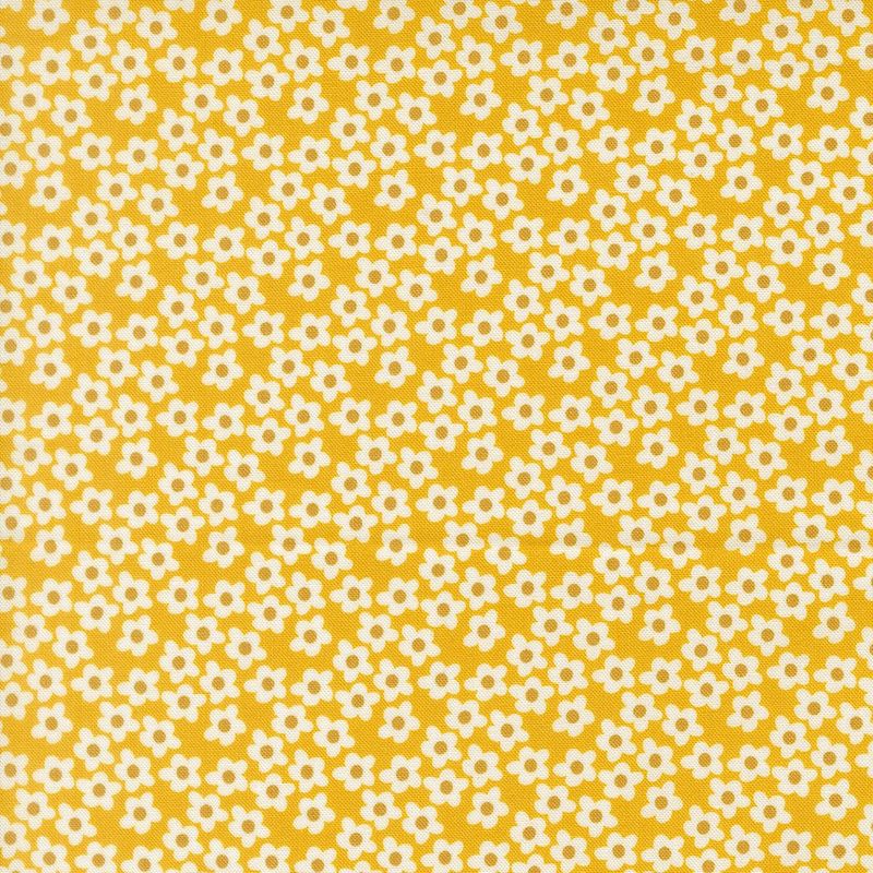 Preorder Elizabeth Hartman Popcorn Flowers Small Floral Orange