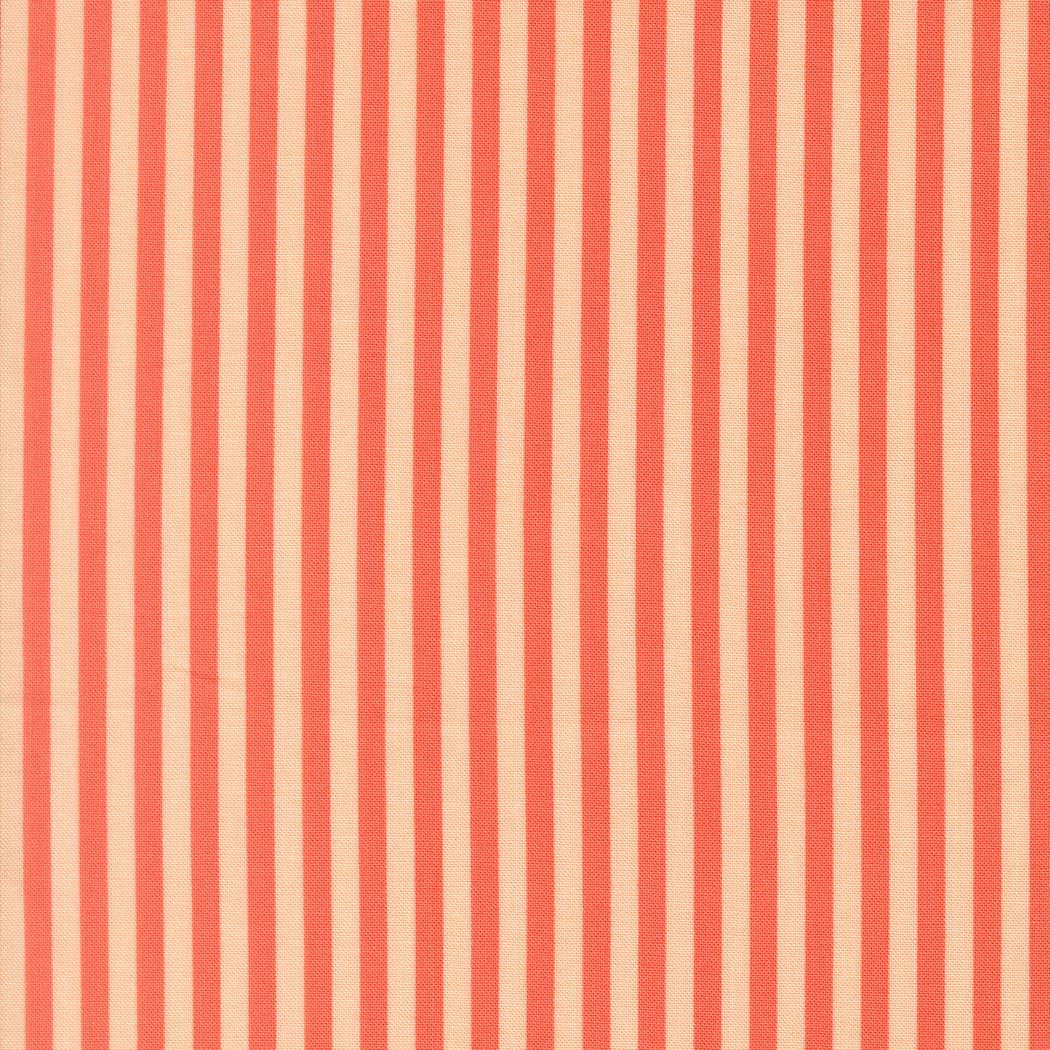 Preorder Elizabeth Hartman Popcorn Stripe Stripes Pink Preorder Elizabeth Hartman Popcorn Stripe Stripes Pink