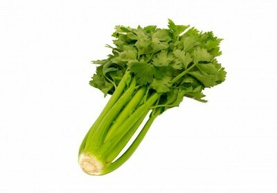 Bleekselderij per doos 12-16 stuk