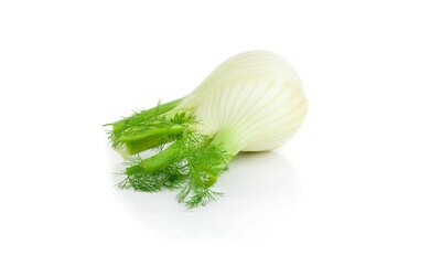 Venkel per kist 5 kg