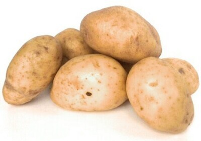 Aardappel agria per 25 kg friet