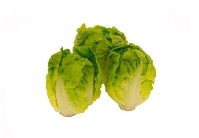 Little gem  per doos, 10x6 stuk