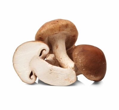 Champignons Shiitake 1,5 kilo