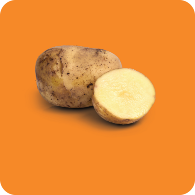 AARDAPPEL, UI &amp; KNOFLOOK