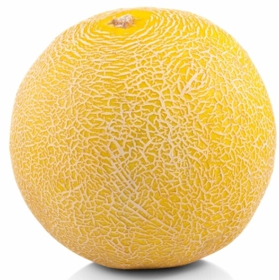 Galiameloen per doos 
